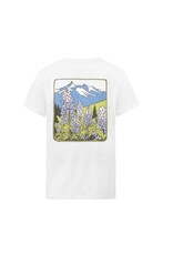 PICTURE ORGANIC Picture  Timont Tech Tee Women's