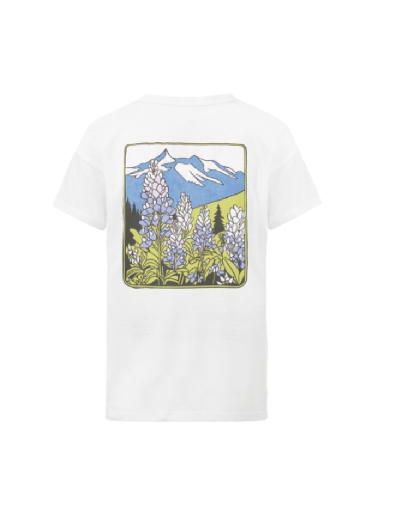 PICTURE ORGANIC Picture  Timont Tech Tee Women's