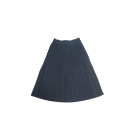 Sage Sage Ladies Pleated Skirt CX-118A