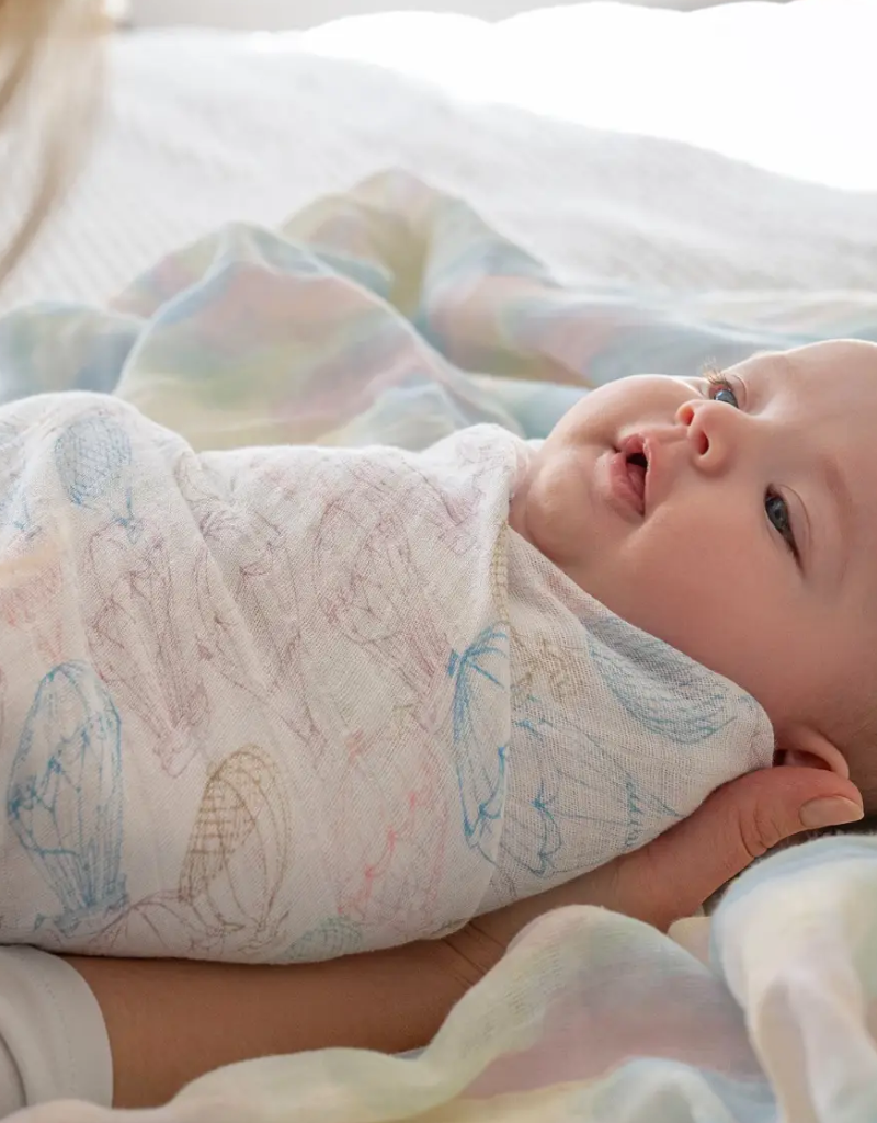 Aden+Anais Clouds Organic Swaddles2 Pack Tiptoe Boutique