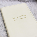 NIV Tiny Testament Bible - White