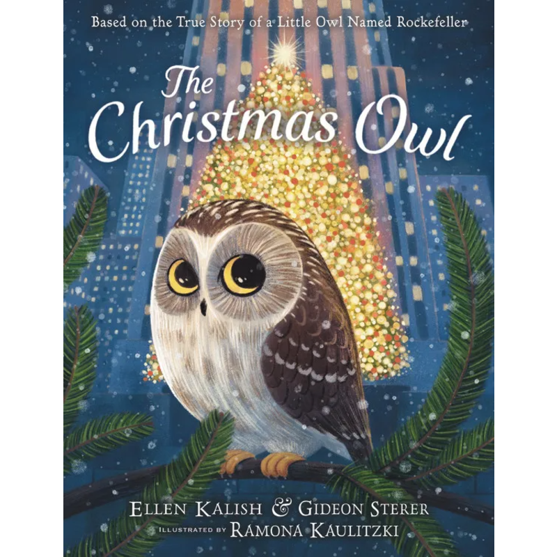 The Christmas Owl