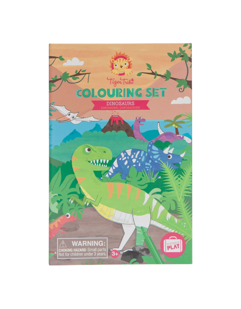 Tiger Tribe Dinosaur Coloring Set - Bibs and Kids Boutique