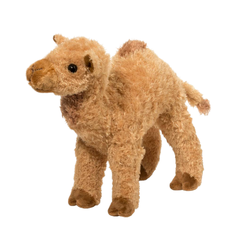 Douglas Lawrence Camel
