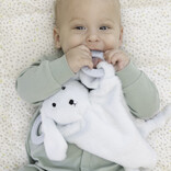 Bella Tunno Bella Tunno Teether Buddy Danny the Dog