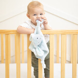 Bella Tunno Bella Tunno Teether Buddy Danny the Dog