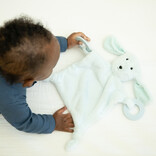 Bella Tunno Bella Tunno Teether Buddy Danny the Dog