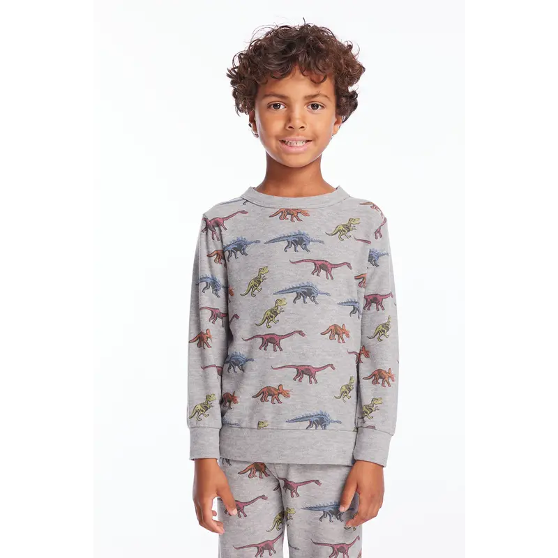 Chaser Chaser Skeleton Dinos Pullover