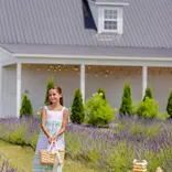 The Beaufort Bonnet Company TBBC Macie Midi Dress - Sarasota Stripe