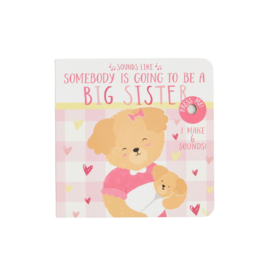 Mud Pie Mud Pie Sounds Like Big Sister Book