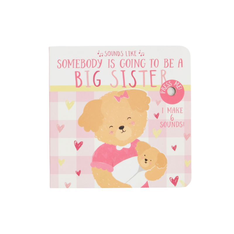 Mud Pie Mud Pie Sounds Like Big Sister Book