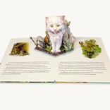 The Classic Tale of Peter Rabbit: Deluxe Pop-Up Edition