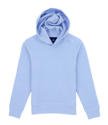 Properly Tied Properly Tied Palmetto Hoodie - Powder Blue