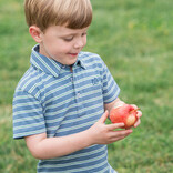 PRODOH Prodoh Too Cool for School Polo - Copen Blue Frosty Spruce Stripe