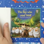 The Usborne Advent Calendar Book Collection