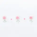 Magnolia Baby Magnolia Baby Juliette's Classics Scattered Converter