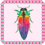 eeboo Beetles Little Matching Game