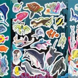 eeboo Learn to Draw Under the Sea