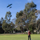 Tiger Tribe Tiger Tribe Shark Glider