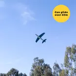 Tiger Tribe Tiger Tribe Shark Glider