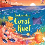 Look Inside A Coral Reef