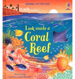 Look Inside A Coral Reef