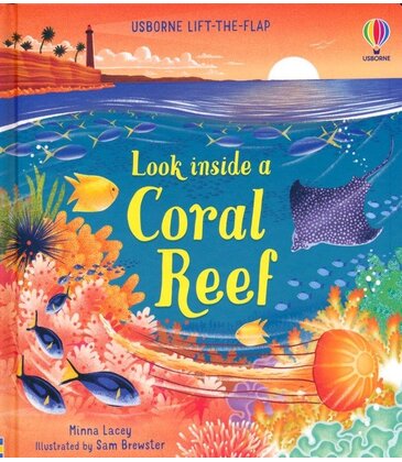 Look Inside A Coral Reef