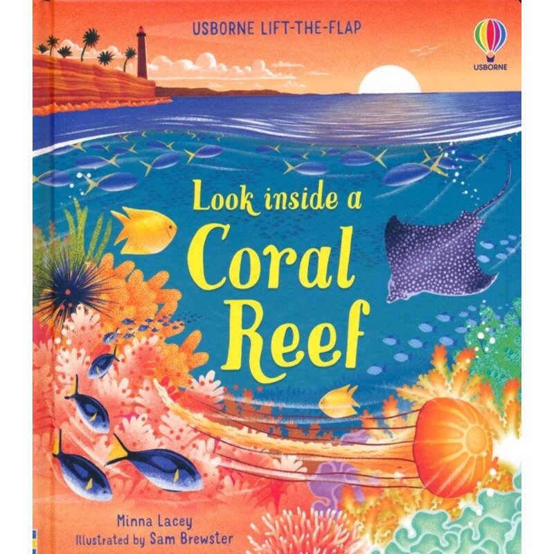 Look Inside A Coral Reef