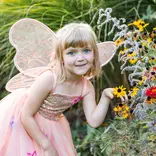 Great Pretenders Great Pretenders Peach Butterfly Bliss Wings