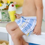 The Beaufort Bonnet Company TBBC Tortola Swim Trunks - SoBro Stripe