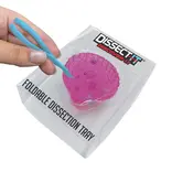 Discover-It Pearl Shucking Lab