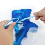 Dissect-It Super Shark Lab