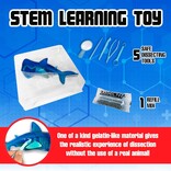 Dissect-It Super Shark Lab