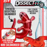 Dissect-It Mini Salamander Lab