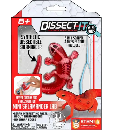 Dissect-It Mini Salamander Lab