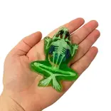 Dissect-It Mini Salamander Lab