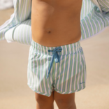 Minnow Swim Tamarin Stripe Boardie