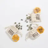 GeoCentral GeoCentral Gold Rush: Pyrite Nuggets Bag