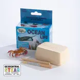 GeoCentral GeoCentral Ocean Life Mini Dig Kit