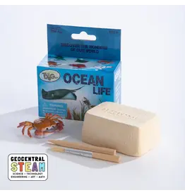 GeoCentral GeoCentral Ocean Life Mini Dig Kit