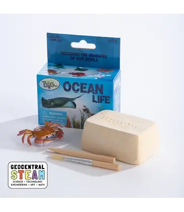 GeoCentral GeoCentral Ocean Life Mini Dig Kit