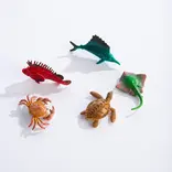 GeoCentral GeoCentral Ocean Life Mini Dig Kit