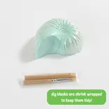 GeoCentral GeoCentral Ocean Treasure Dig Kit