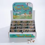 GeoCentral GeoCentral Shark Teeth Souvenir Box