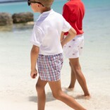 The Beaufort Bonnet Company TBBC Seersucker Sheffield Shorts - Pierce Mill Plaid