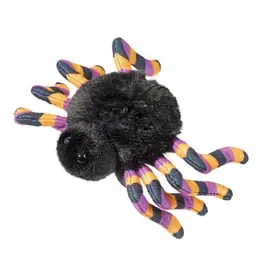 Douglas Spider with Striped Legs