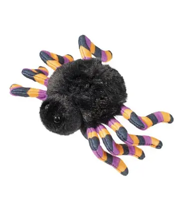 Douglas Spider with Striped Legs