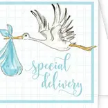 RoseanneBeck Collections Special Delivery Handpainted Stork Blue Enclosure Card