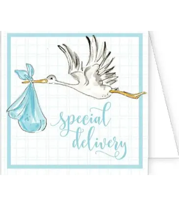 RoseanneBeck Collections Special Delivery Handpainted Stork Blue Enclosure Card