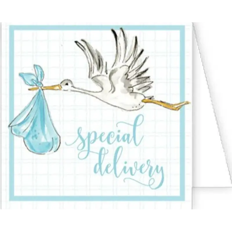 RoseanneBeck Collections Special Delivery Handpainted Stork Blue Enclosure Card